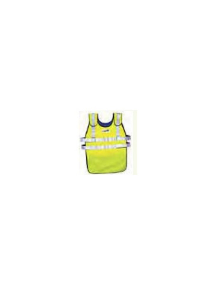 ISO2 Isotherm Class 2 cooling vest